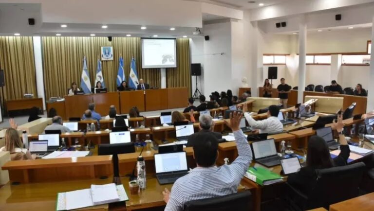 YPF y el Rol del Concejo Deliberante Municipal