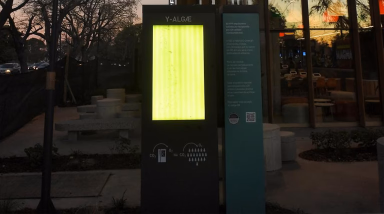 ¿La tala de árboles es contaminacion?