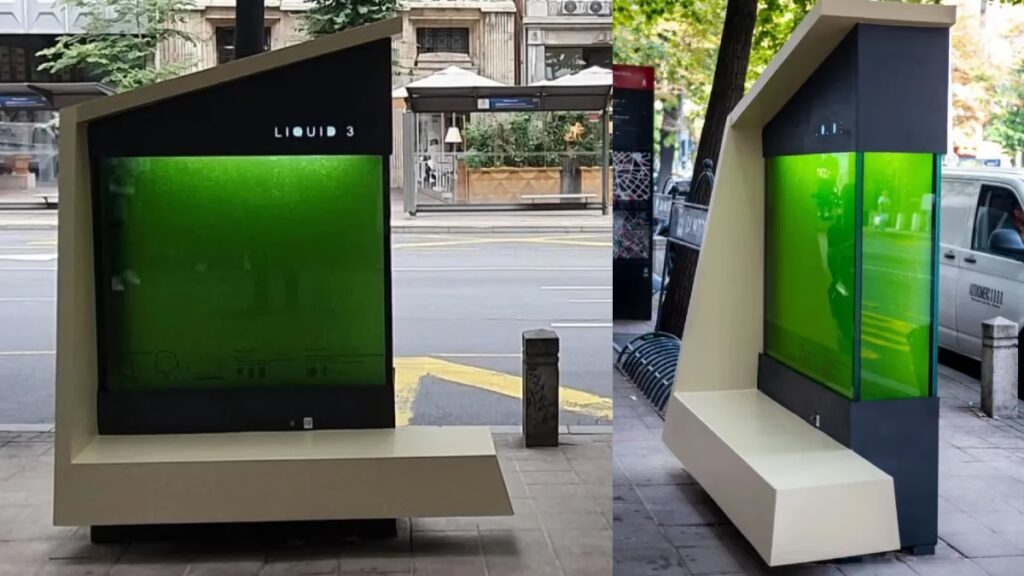 Árboles: ¿Héroes o Contaminantes Ocultos?