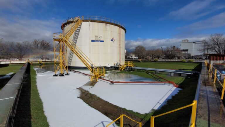 YPF Directo: El Aliado Estratégico del Productor