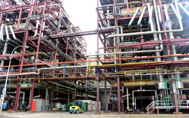 Dock Sud: Historia de un Club y su Barrio