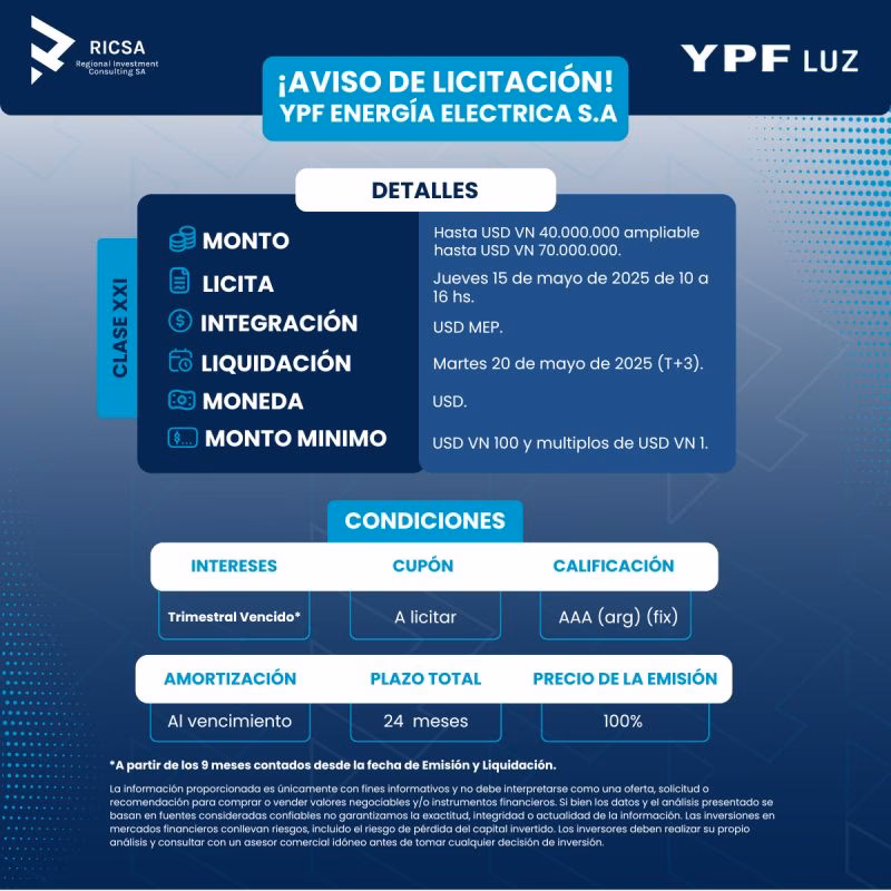 ¿Quién es el CEO de YPF Luz?
