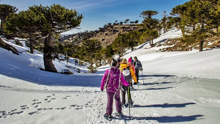 Primeros Pinos: El Sueño Blanco para Principiantes