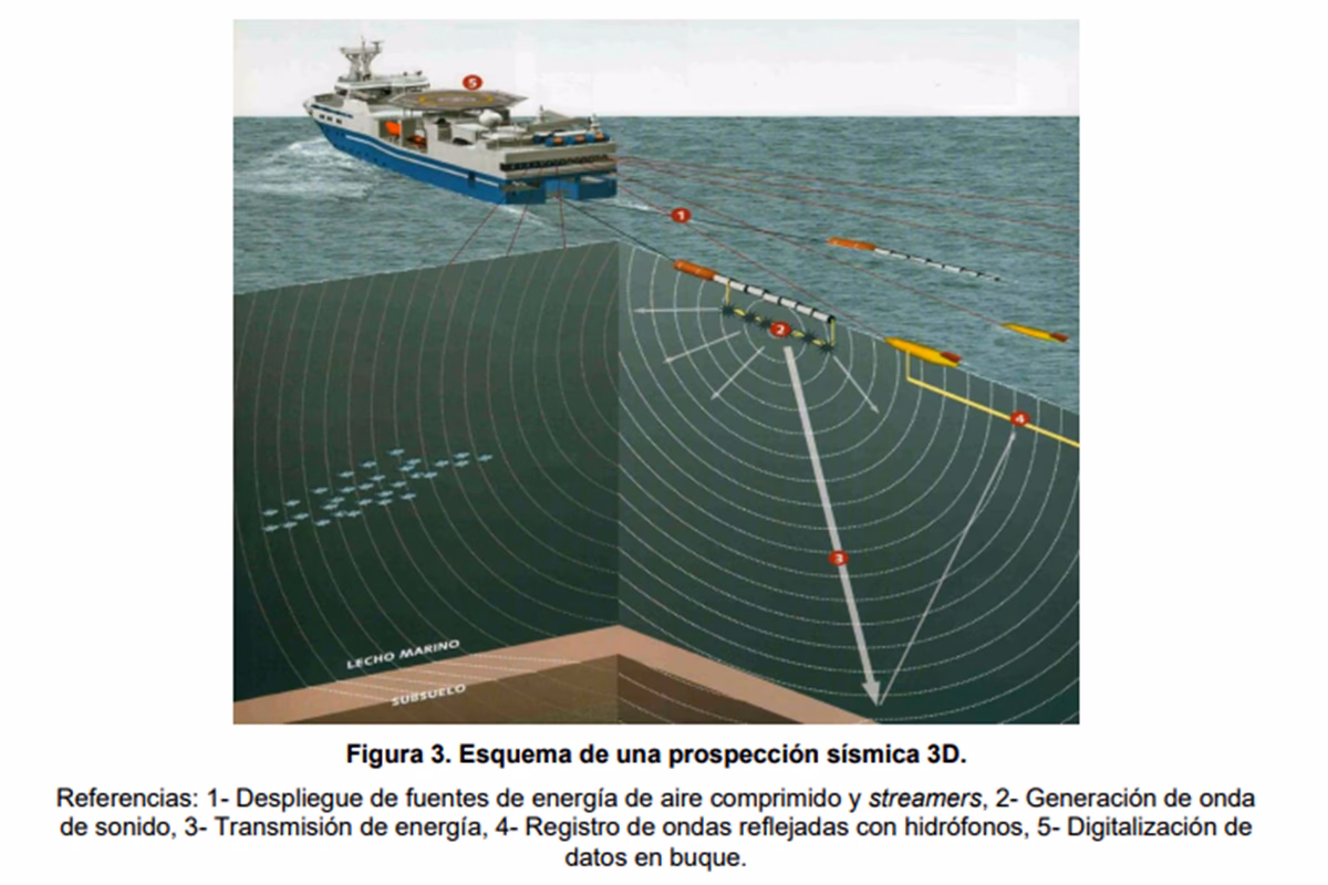 ¿En qué consiste la exploracion sismica?