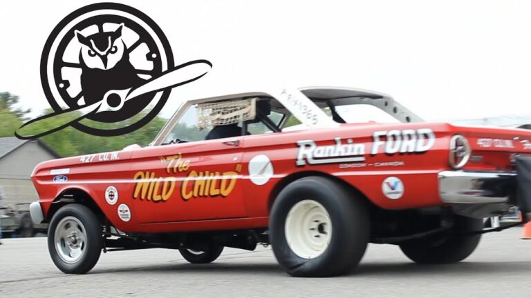 YPF y la Biodiversidad: Lecciones del Halcón