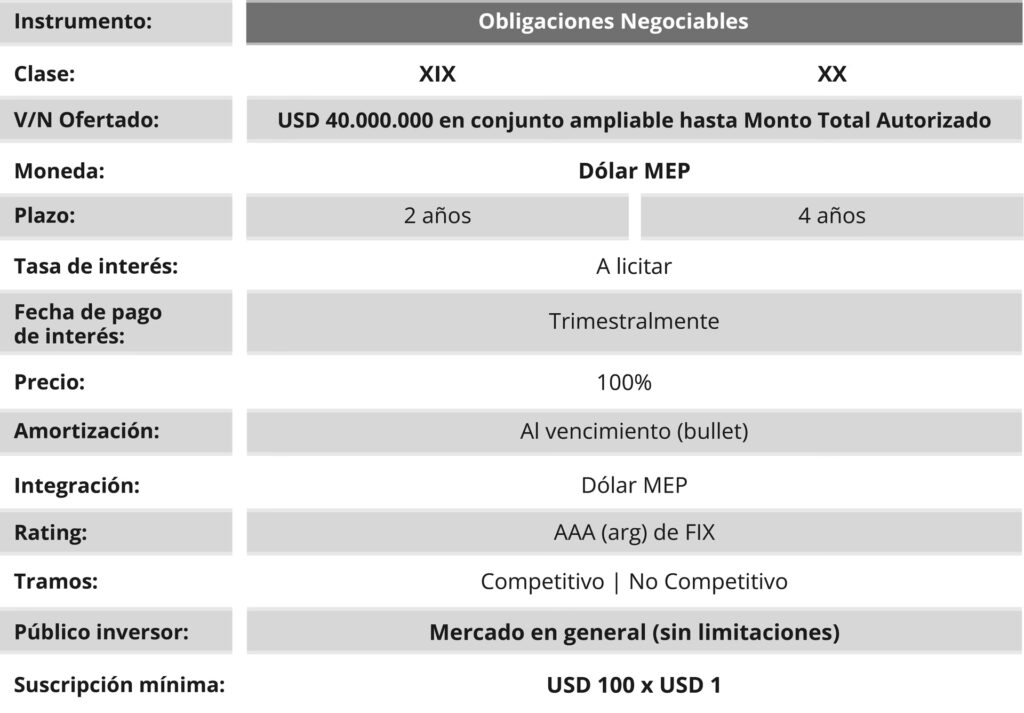 YPF Luz: Éxito rotundo en su Obligación Negociable