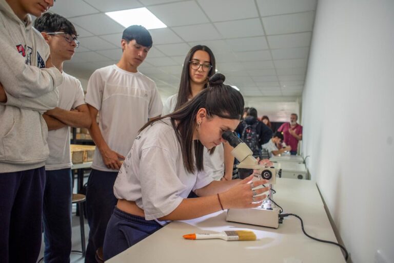 Guía para Futuros Geólogos: Dónde Estudiar
