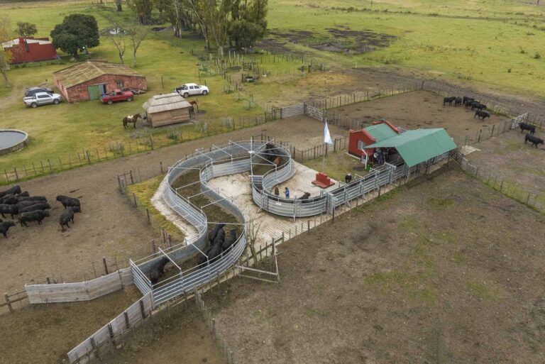 YPF y la Energía que Impulsa el Futuro de los Pueblos