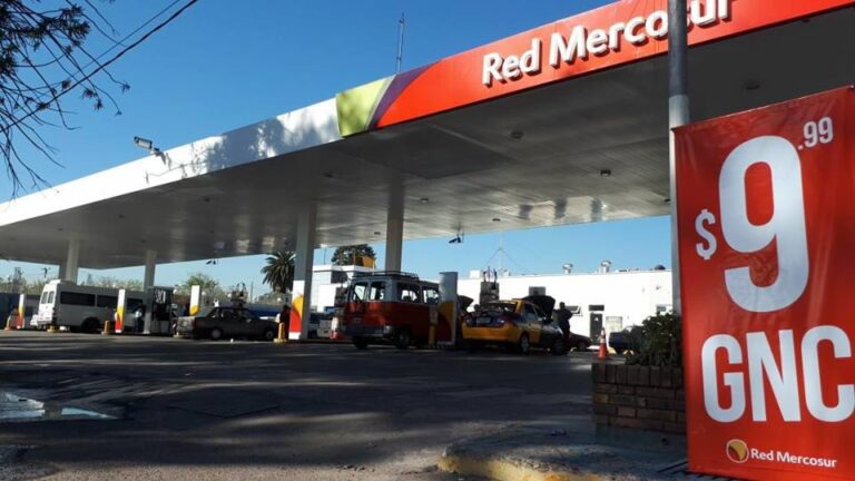Red Mercosur: Innovación y Compromiso Local