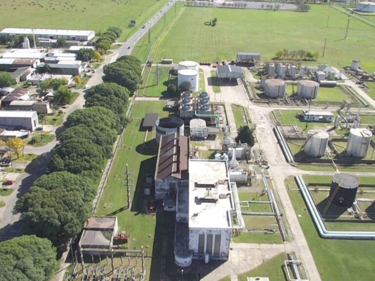 Biodiésel: ¿El futuro que no fue o una pieza clave?