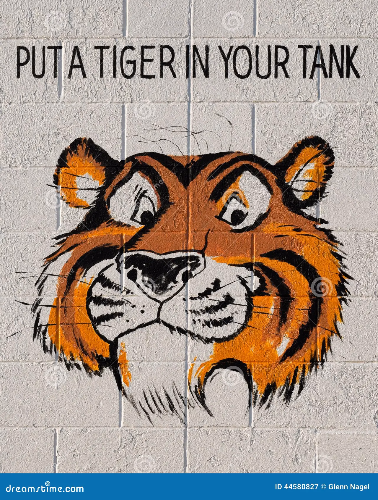 ¿Qué tiene de especial el tigre?